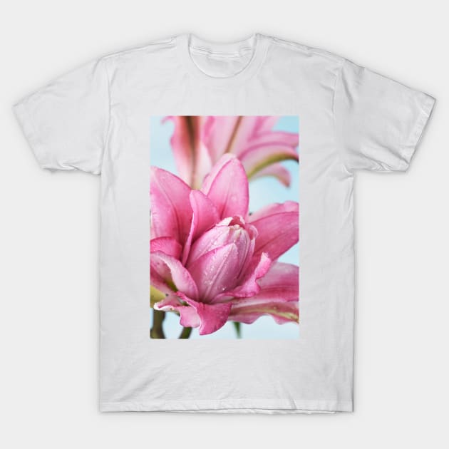 Lilium  Roselily Isabella  Double Oriental hybrid Lily T-Shirt by chrisburrows